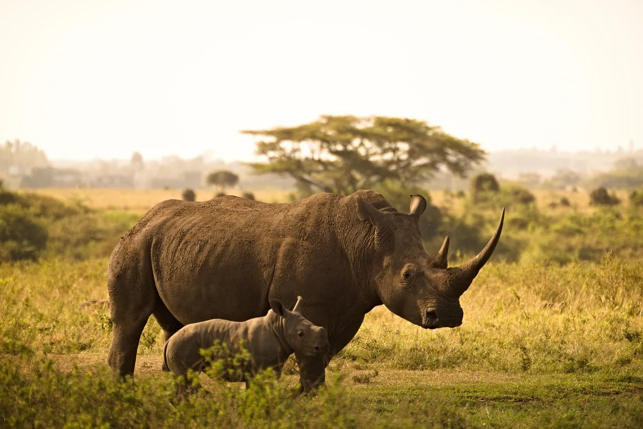 3-Day Serengeti & Ngorongoro Fly in & Fly out Safari - Tanzania safari gallery image
