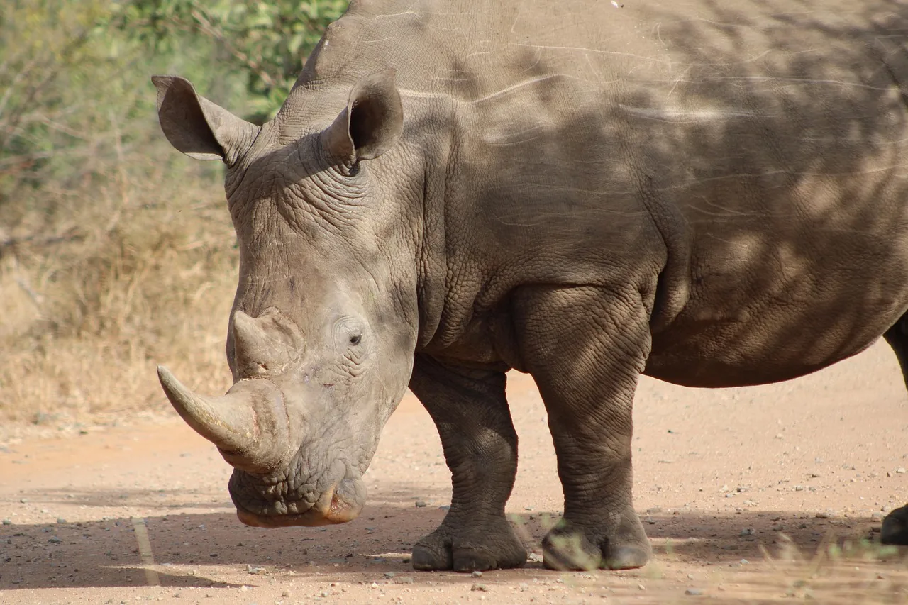 3-Day Best to Mkomanzi Tarangire and Ngorongoro Crater - Tanzania safari hero photo