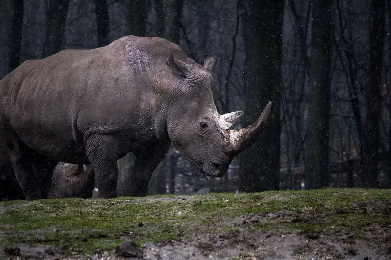 8 Days  Rivers & Reserves Safari Escape gallery image