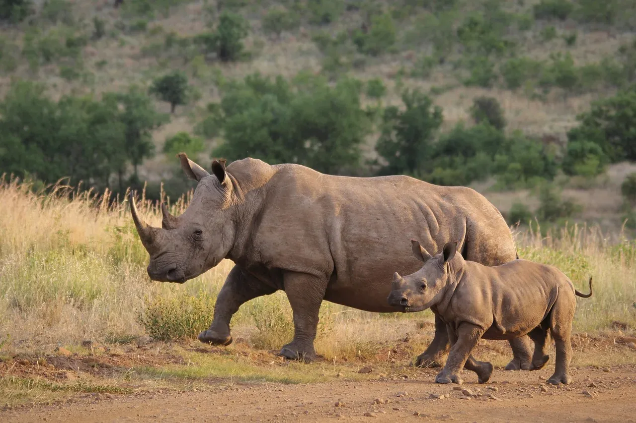 8-Day Taste of Zanzibar and Safari - Tanzania safari hero photo
