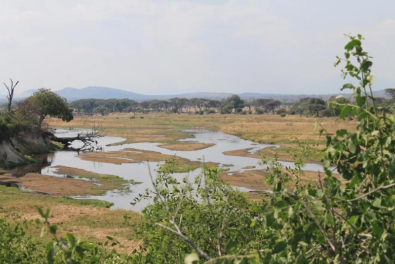 3 Days Wildlife Safari to Ruaha National Park gallery image