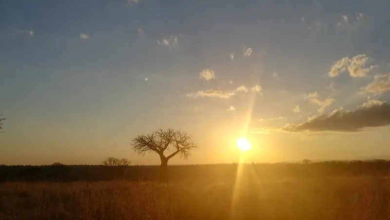 4 Days Awesome Ruaha National Park gallery image