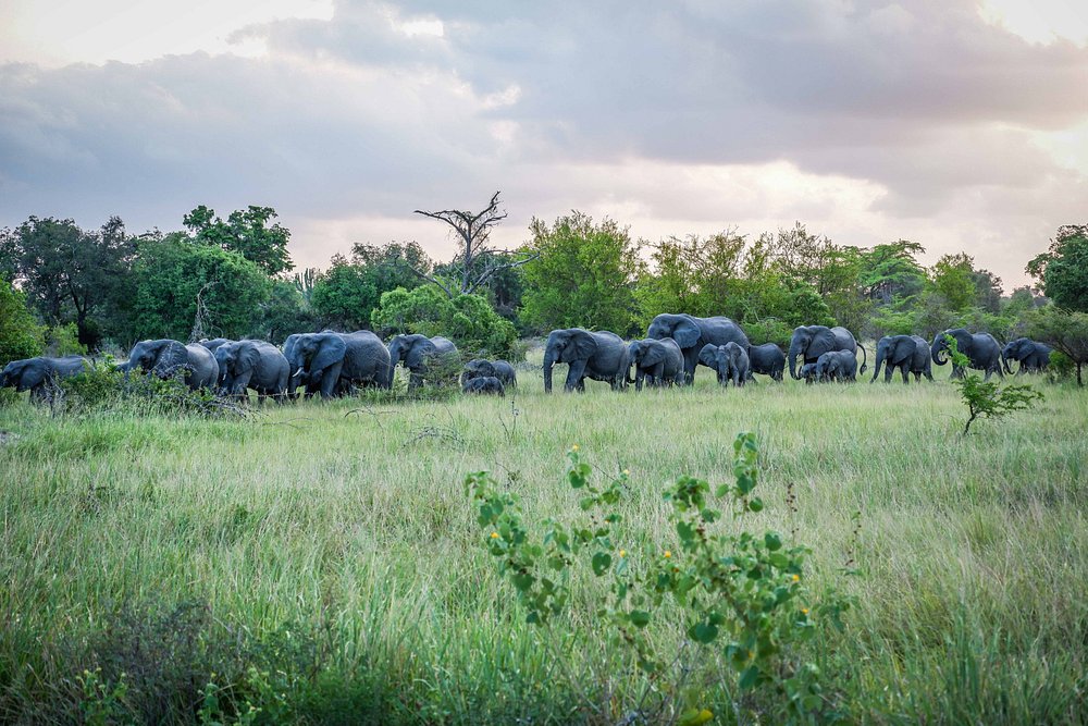 3 Days Experience Safari Saadani & Boat Safari gallery image