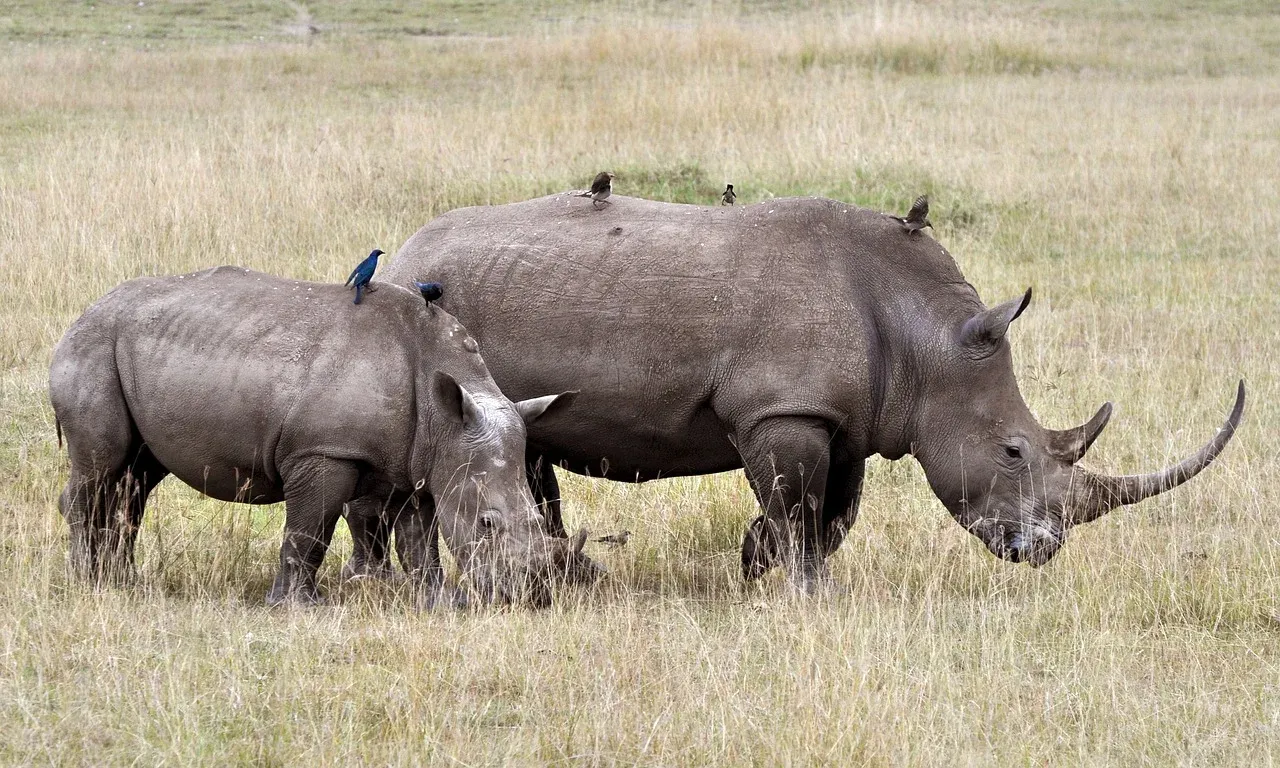 3 Days Tanzania safari tour: Tarangire-Ngorongoro -Manyara from Zanzibar hero photo