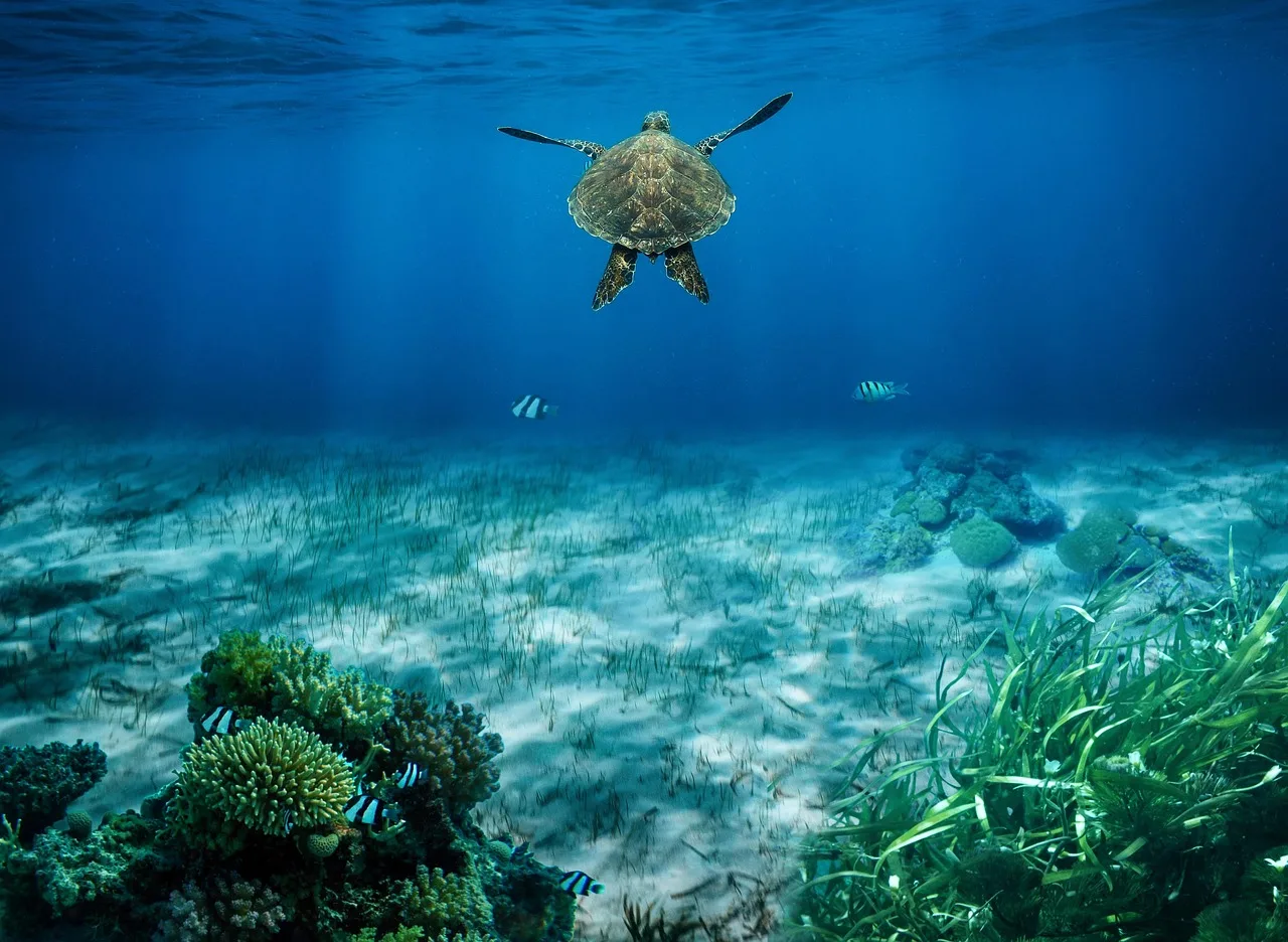 1-Day Marine Big 5 Edu-Safari gallery image