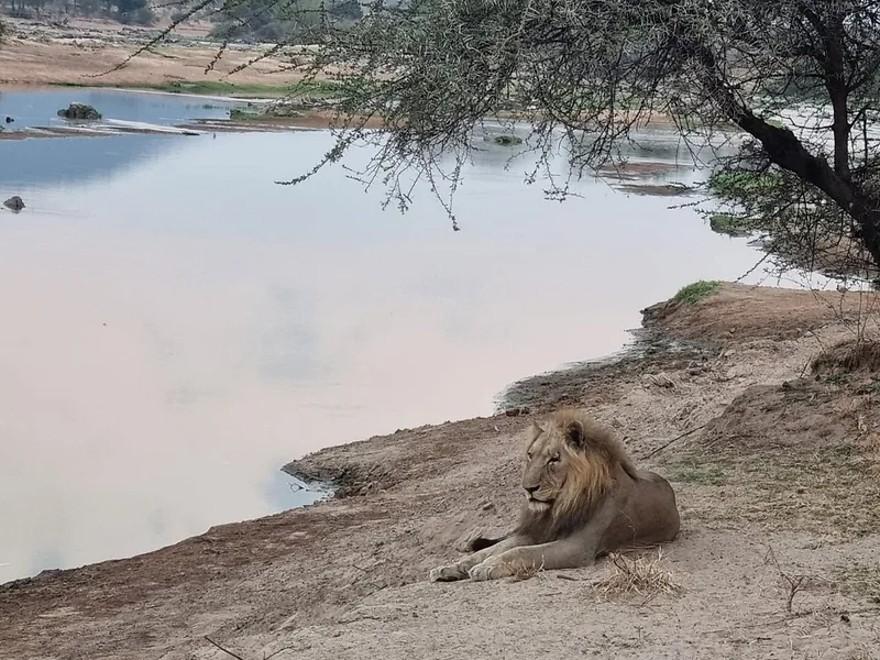 2 Days Adventure in Ruaha National Park