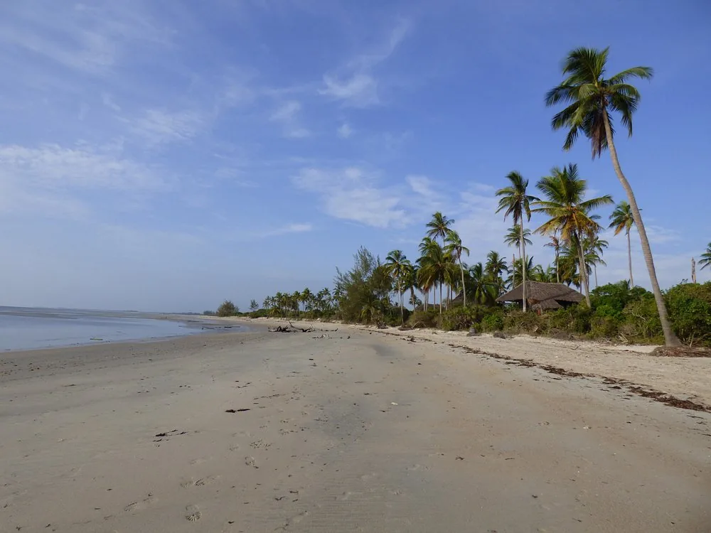 2 Days Saadani National Park Game Drive & Unique Beaches hero photo