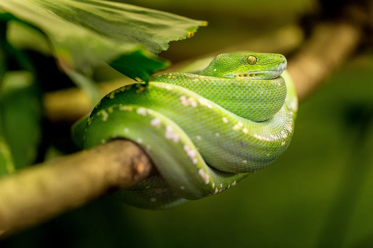 3-Day Kidepo Valley NP Budget Tour gallery image