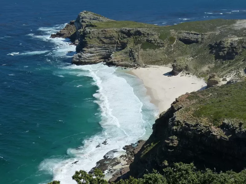 1-Day1-Day Cape Peninsula Private Tour Including Entrance FeeIncluding Entrance Fee gallery image