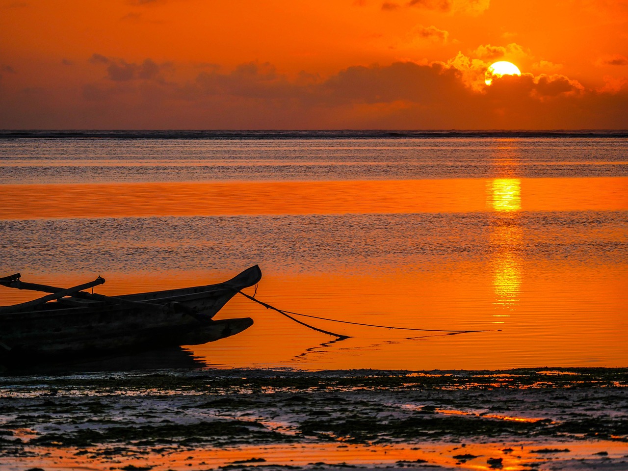 5-Day Bush-Beach Fly-out Luxury Safari - Tanzania safari