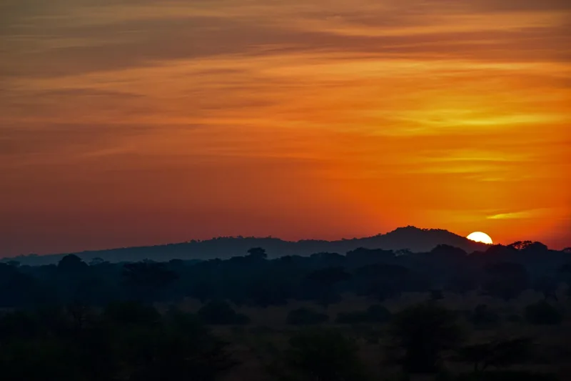 5-Day Wonderful Safari Zanzibar to Nyerere NP by Flight - Tanzania safari gallery image