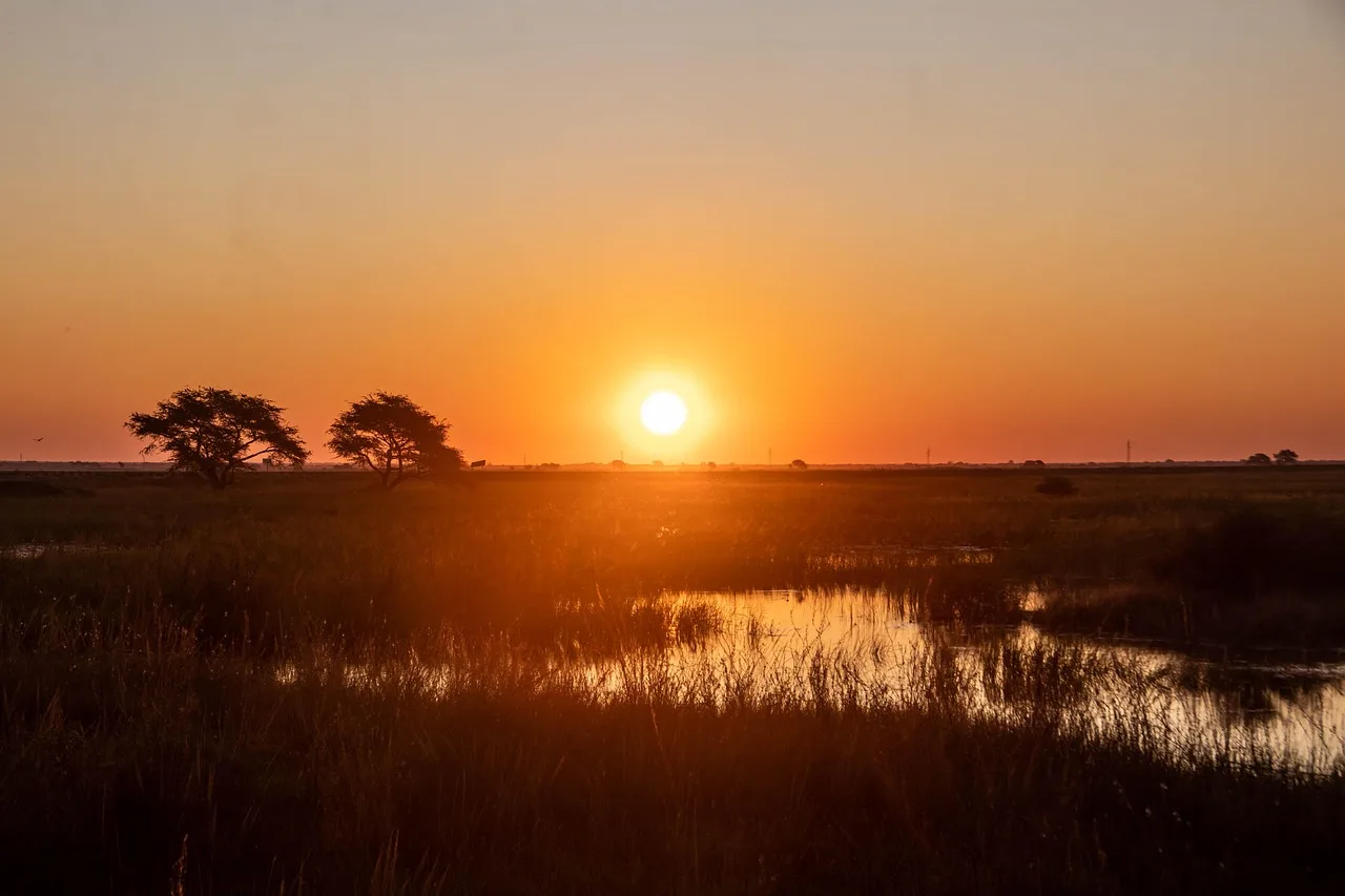 9-Day Zambia - Lower Zambezi & the Luangwa Valley gallery image