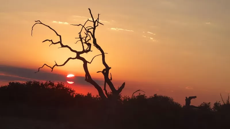 3-Day Luxury Safari Timbavati Kruger South Africa gallery image