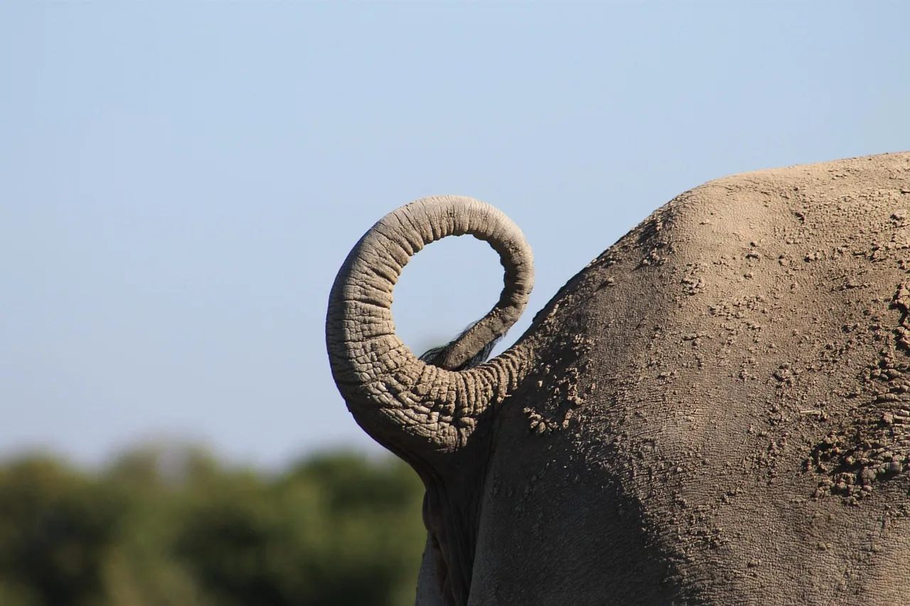 The best 2-Days 2 Days Mid Range Northern Circuit Safari gallery image