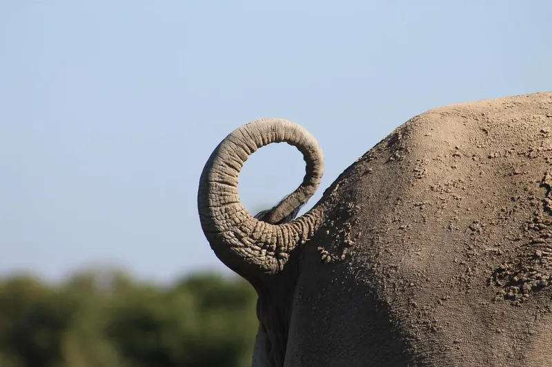 The best 2-Days 2 Days Mid Range Northern Circuit Safari gallery image