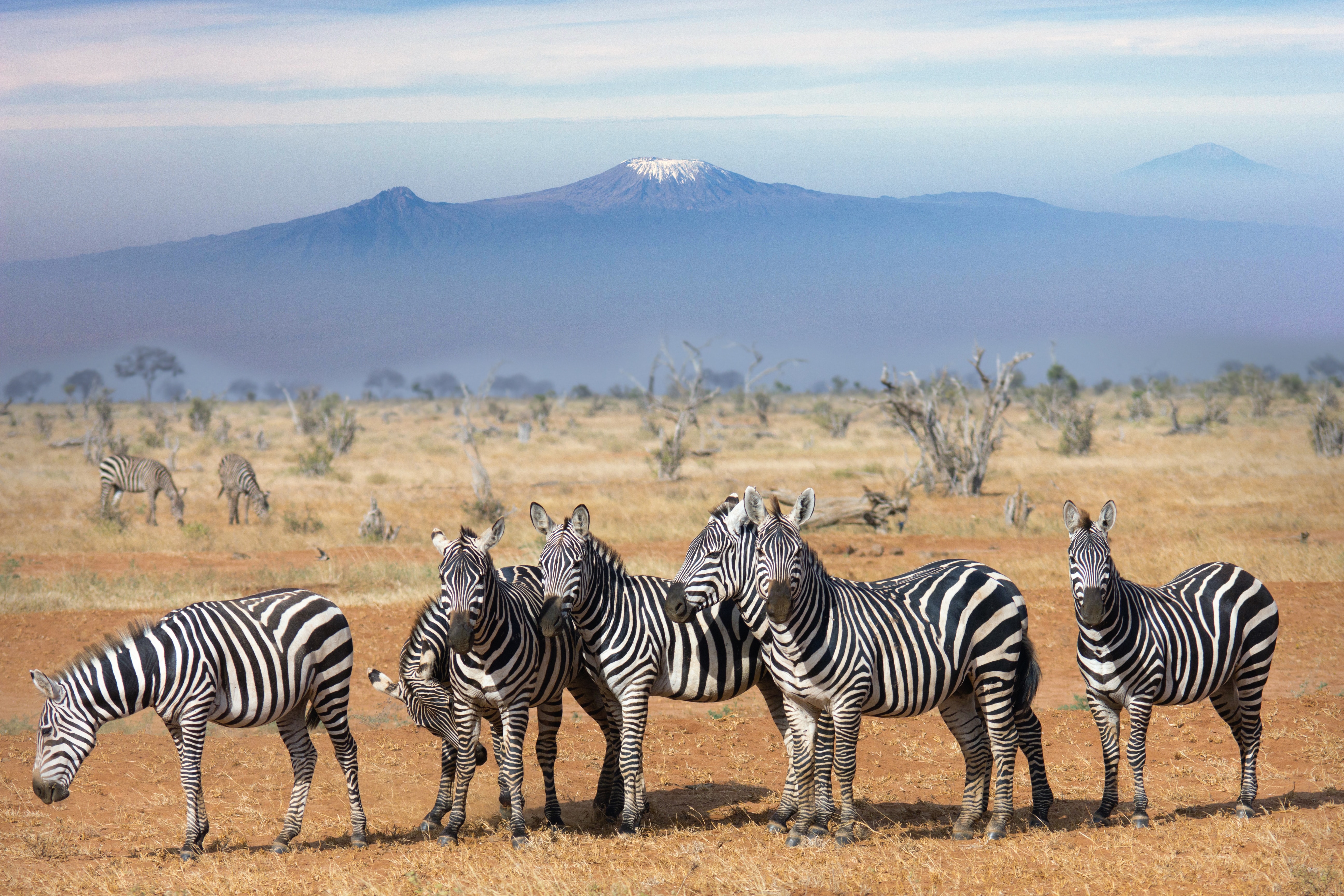 11-Day Serengeti, Ngorongoro& Zanzibar Mid Range Tour - Tanzania safari gallery image