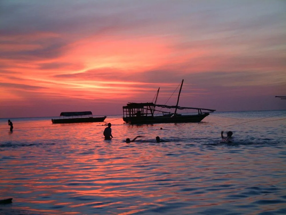 2 Days Super Trip Beach Safari in Saadani National Park gallery image
