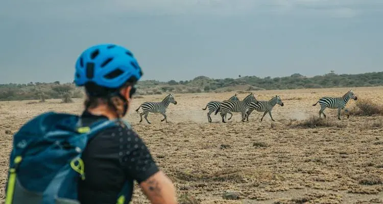 4-Day Thrilling West Kilimanjaro Cycling Adventure & Tanzania Wildlife Safari