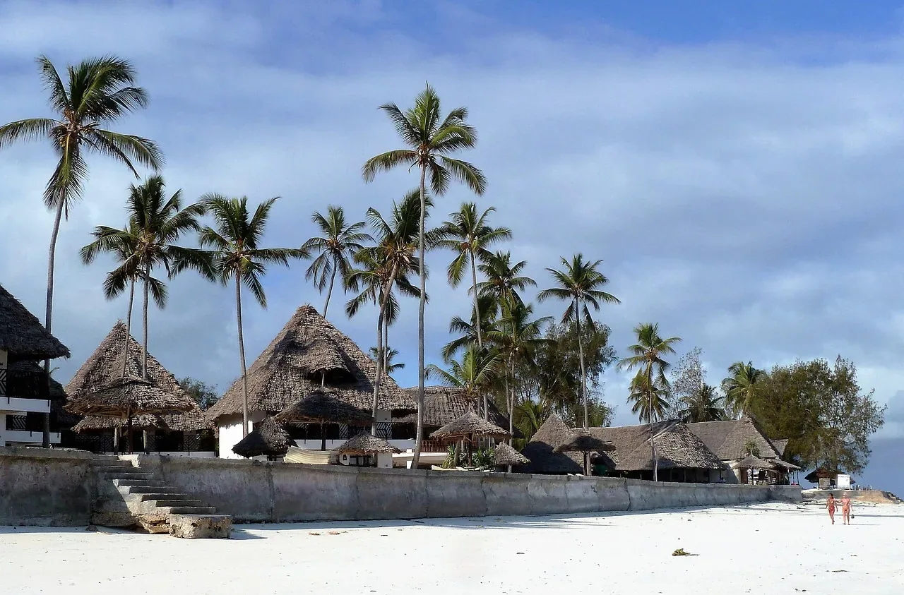 1-Day Safari Blue Zanzibar - Tanzania safari hero photo