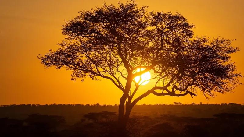 2 Days Embankment to Lake Manyara and Ngorongoro Crater - Tanzania safari