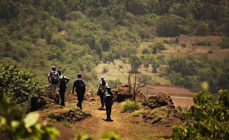 6-Day Middle Range Chimps & Nyungwe National Forest - Rwanda