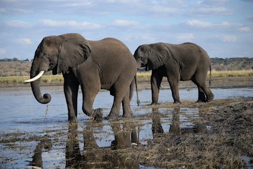 4-Day "Exploring Ethiopia's Simien Mountains Adventure" gallery image