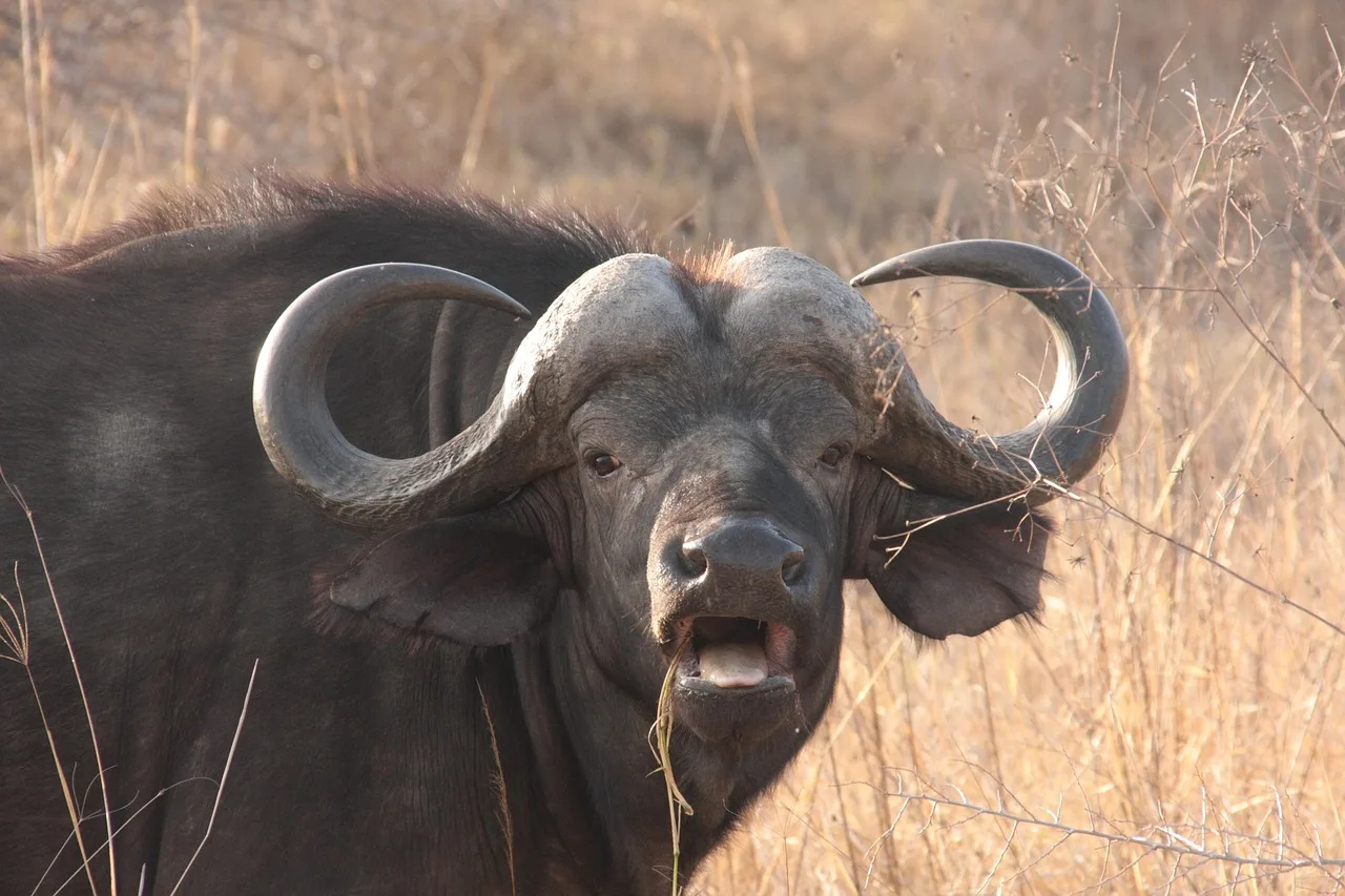 2-Day Fly in & out Zanz Midrange Tarangire & Ngorongoro gallery image