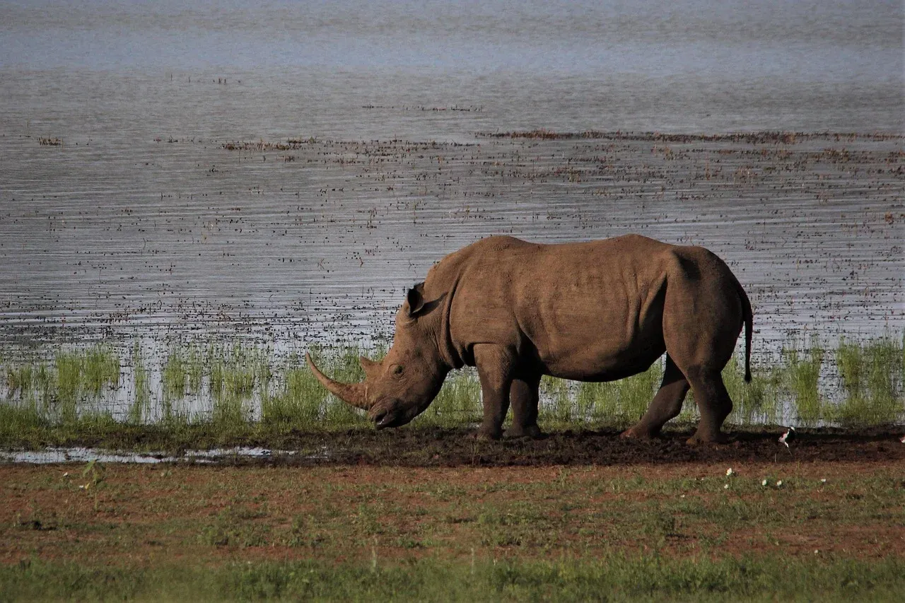 3-Day Unforgettable Serengeti and Ngorongoro Crater - Tanzania safari hero photo