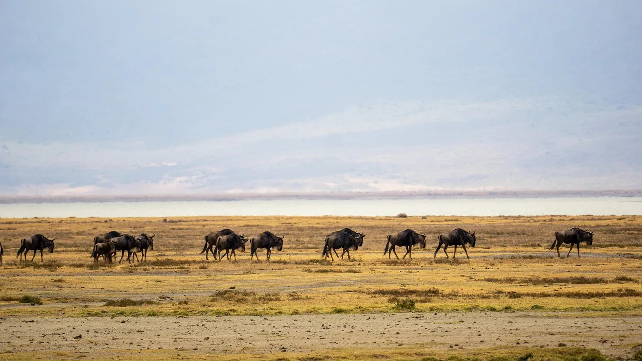 2-Day Special Offer Tarangire & Ngorongoro gallery image