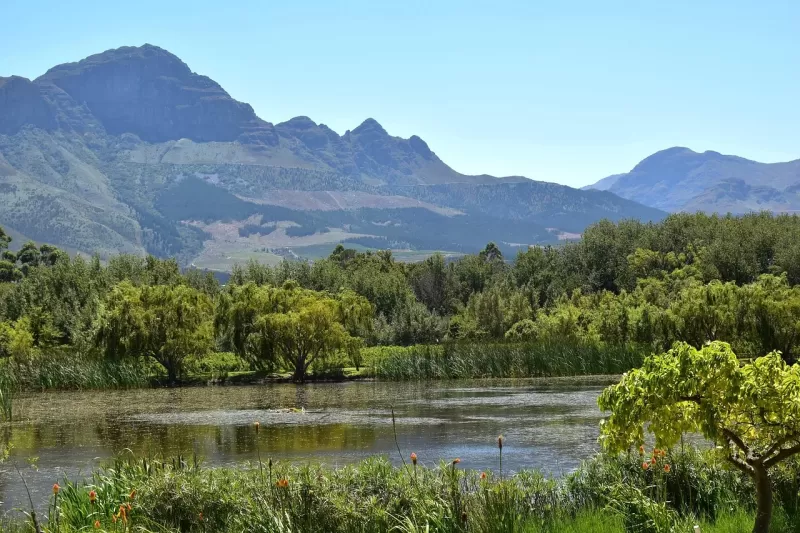1-Day Exclusive Cape Winelands Wine Tour near Cape Town gallery image