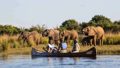 7-Day Victoria Falls Zambia and Chobe Safari Adventure gallery image