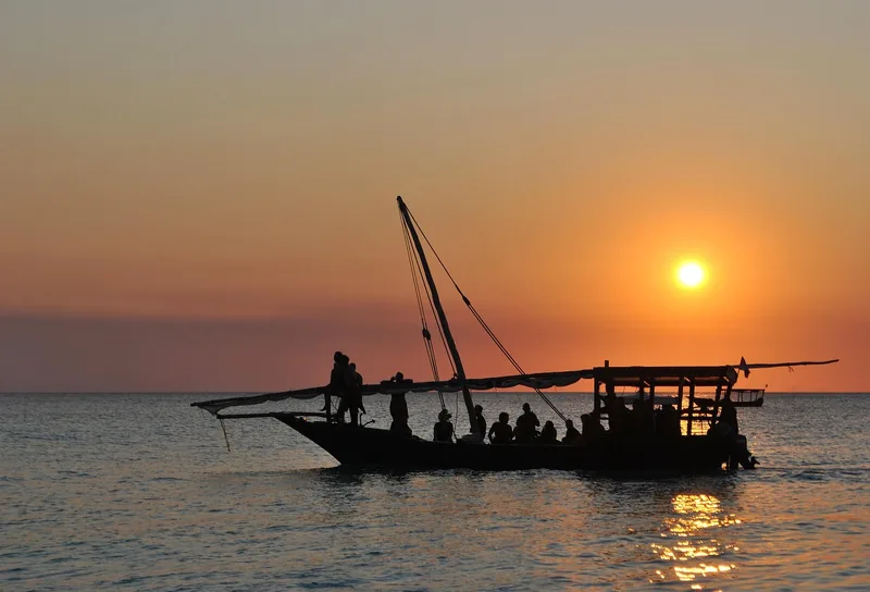 8-Day Luxury Safari to Tanzania and Zanzibar Beach - Tanzania safari