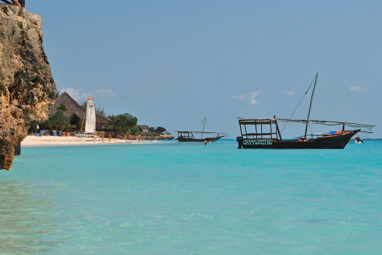 Ultimate 1-Day Fly-in Private Mikumi Safari from Zanzibar gallery image
