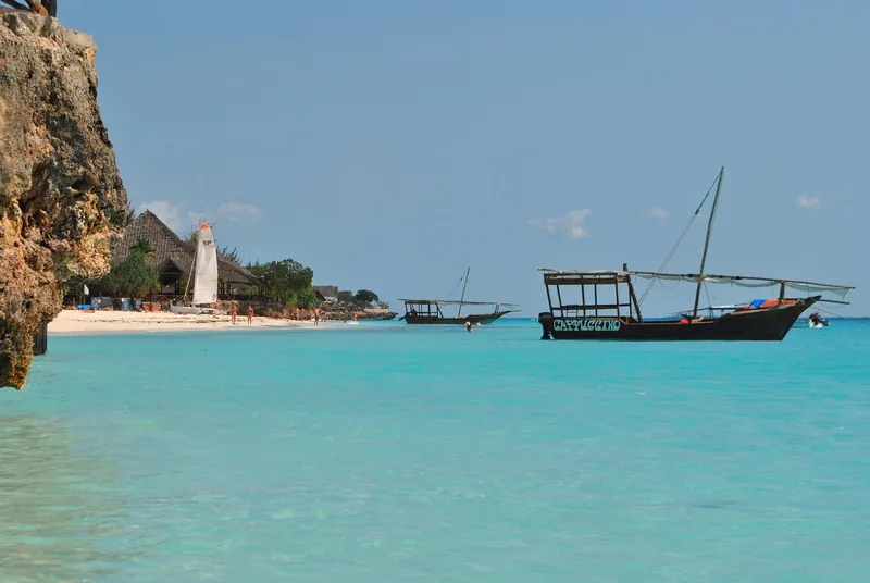 1-Day Trip to Mikumi NP from Zanzibar by Flight - Tanzania safari gallery image
