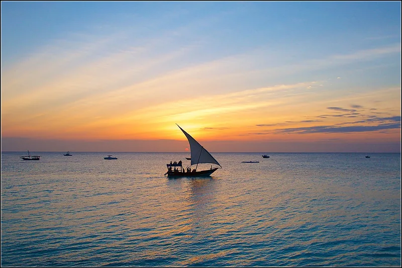 1-Day Mikumi Safari Tour from Zanzibar-Full Game Drive - Tanzania safari gallery image