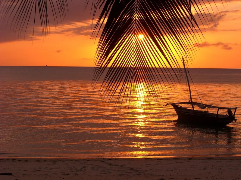 1-Day Popular Fly in Nyerere National Park from Zanzibar - Tanzania safari