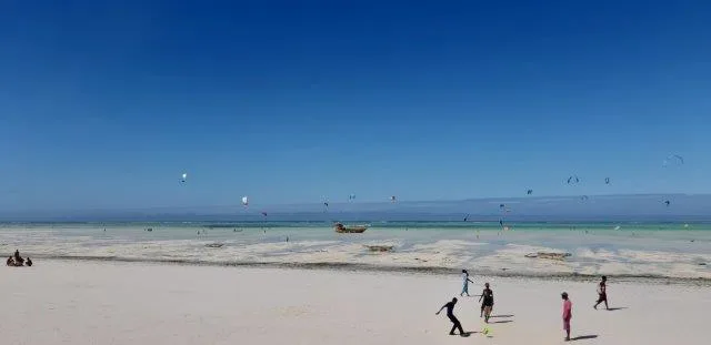 8-Day Wildlife Safari| Beach Experience - Tanzania safari gallery image
