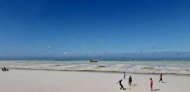 8-Day Wildlife Safari| Beach Experience - Tanzania safari gallery image