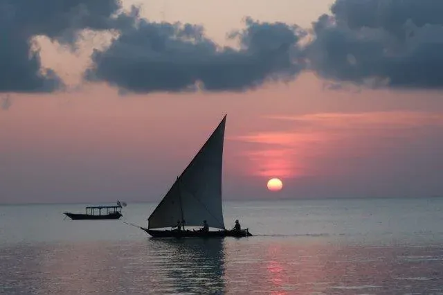 8-Day Wildlife Safari| Beach Experience - Tanzania safari gallery image