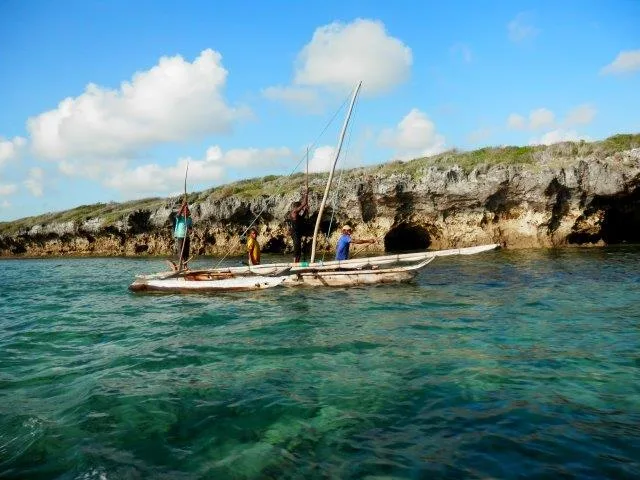 8-Day Wildlife Safari| Beach Experience - Tanzania safari gallery image