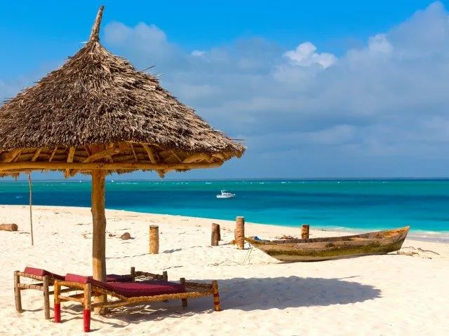 8-Day Wildlife Safari| Beach Experience - Tanzania safari gallery image