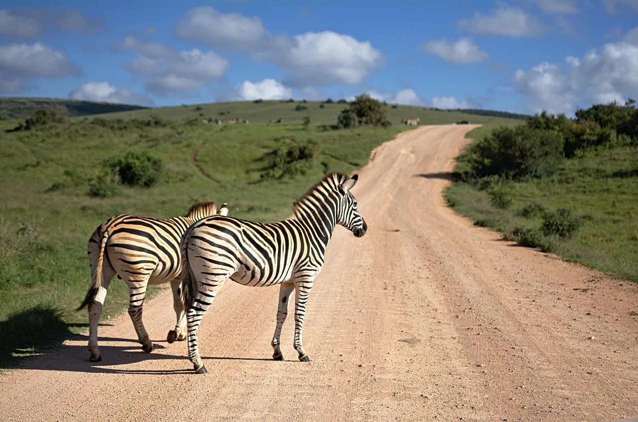 12-Days  Luxury Kruger Safari & Mauritius Escape gallery image
