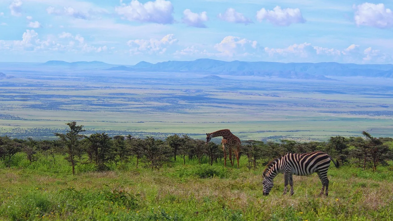 ½-Day Chobe's Power Packed Land Safari hero photo