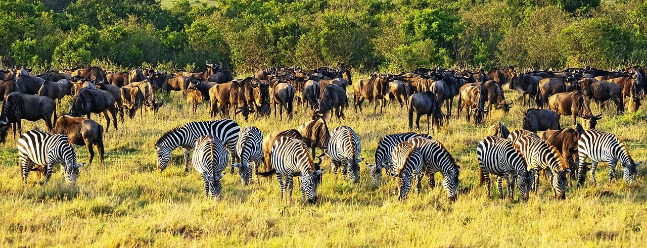 2-Day Taste of Tanzania Safari (Tarangire and Manyara) - Tanzania safari hero photo